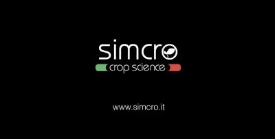 Video Simcro Company Profile
